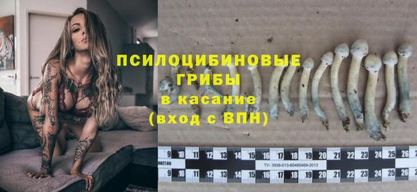 сатива Абаза