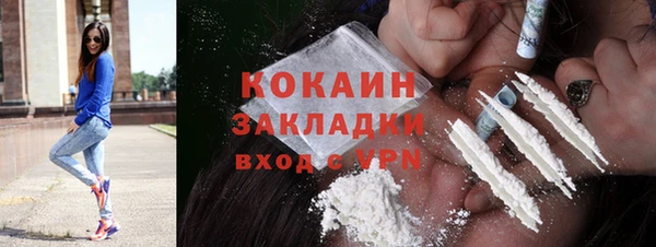 сатива Абаза